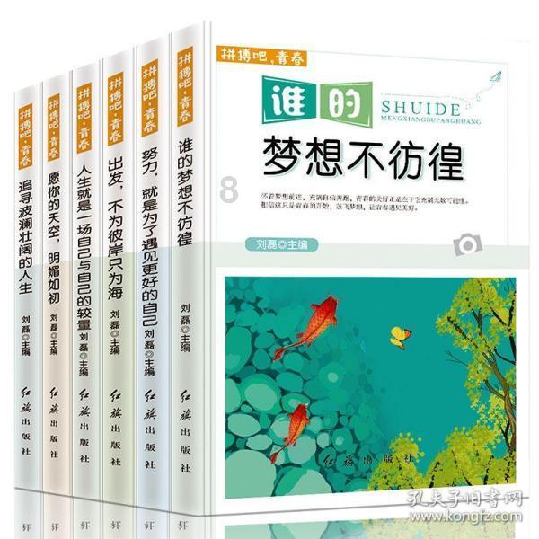美妙夏季拼图